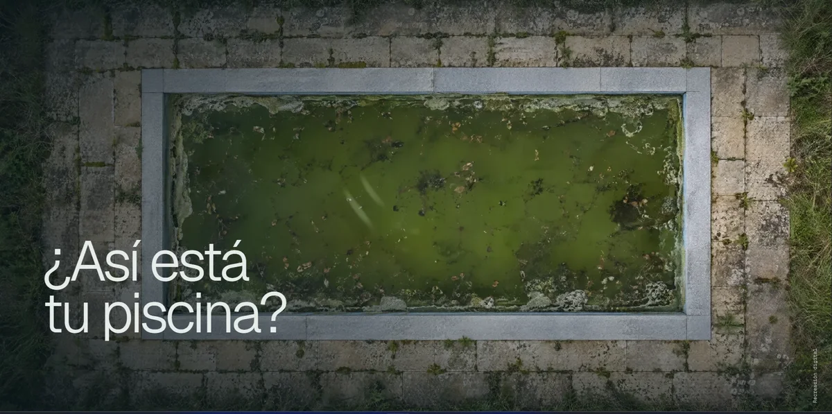 La piscina verde al empezar: «¿Así está tu piscina?»